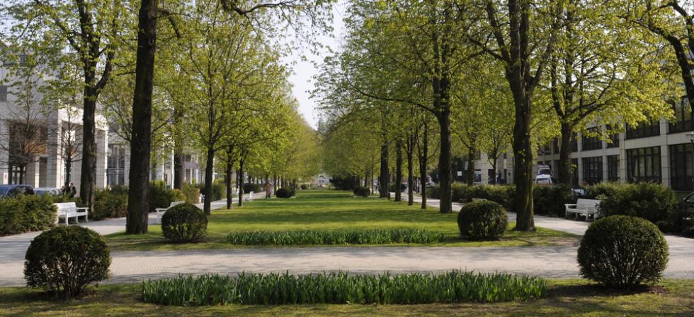 Kampus Virchow-Klinikum Mittelallee